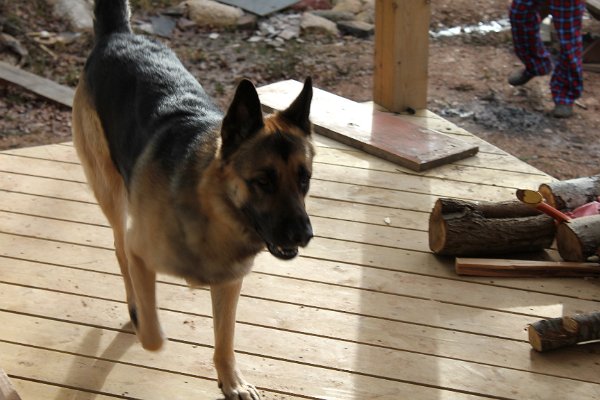 New Camera Dec2010 068